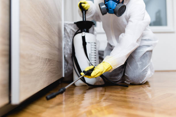 Best Pest Control Near Me  in Auburn Lake Trails, CA