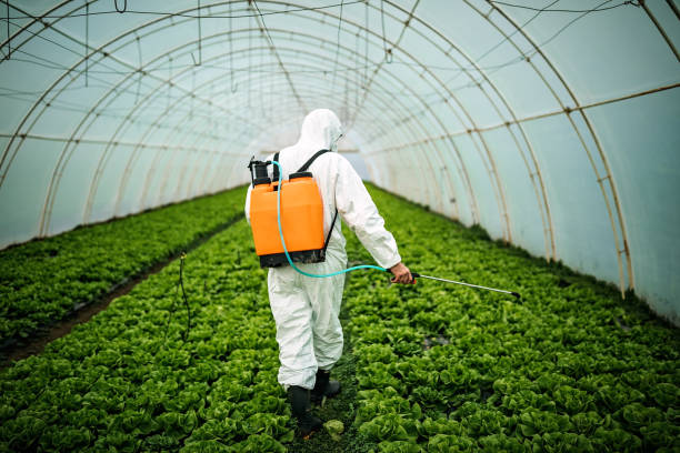 Best Ant Control Services  in Auburn Lake Trails, CA
