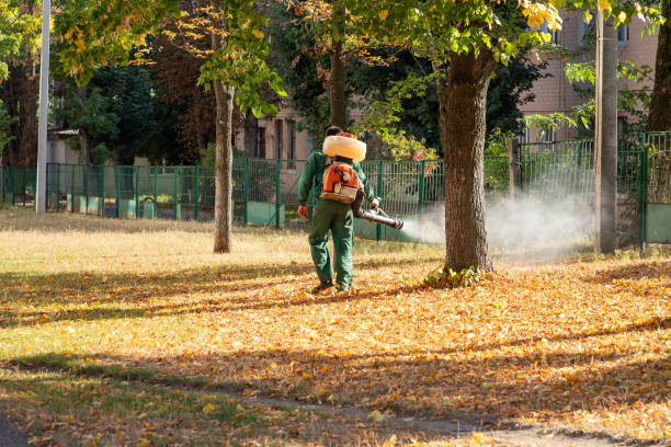 Best Local Pest Control Services  in Auburn Lake Trails, CA