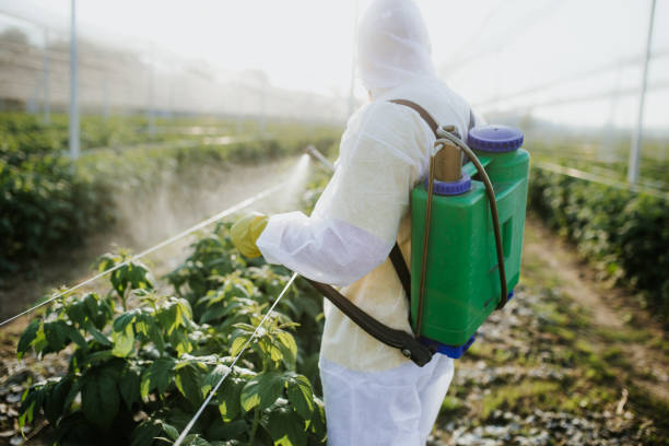 Best Mosquito Control Services  in Auburn Lake Trails, CA